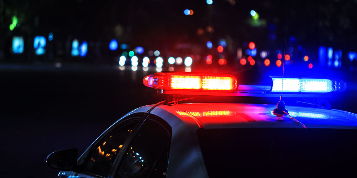 Woman w/ CCW Fights Off Robbery Suspects in South Side Chicago