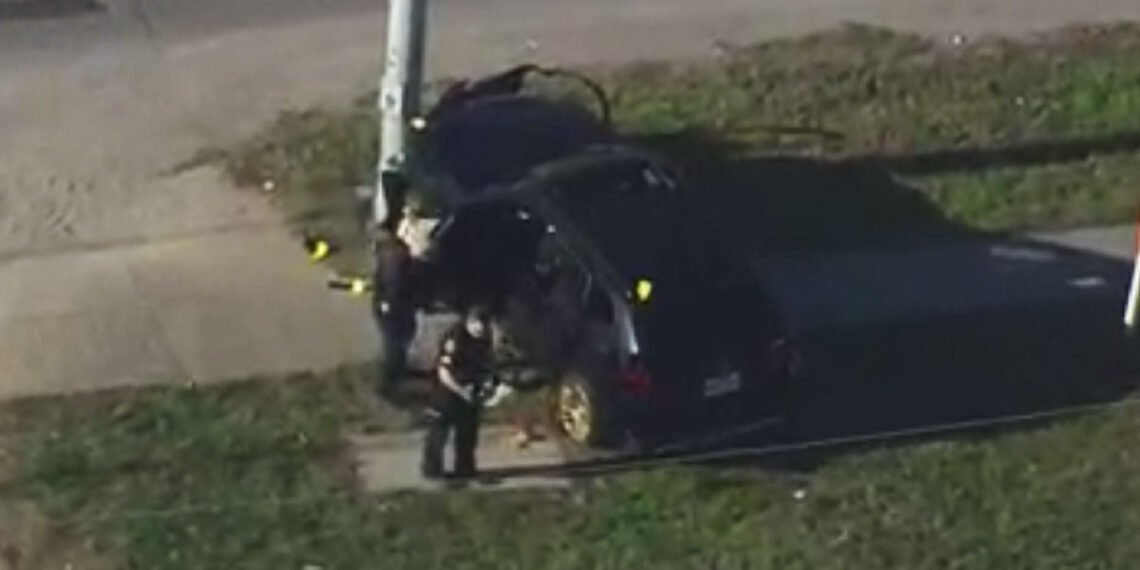 Armed Citizen Fires At and Hits Suspect Stealing His BMW