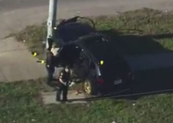 Armed Citizen Fires At and Hits Suspect Stealing His BMW