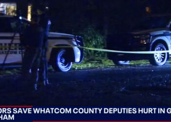Several Armed Citizens Save Two Officers Shot in the Head During Gunfight