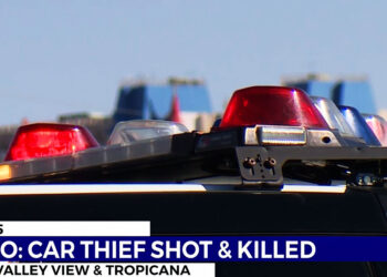 Las Vegas Man Shoots Carjacker In Head as He Attempts to Drive Off