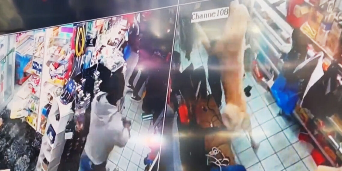 Dog Named 'Bullet' Gives Clerk Time to Draw and Fire at 2 Armed Robbers