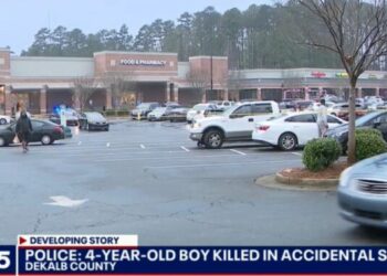 4-Year-Old Dead After Finding Gun In Car While Mom Was Shopping
