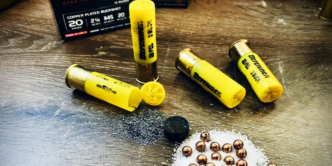Winchester's New-ish 20 Gauge Defender Buckshot