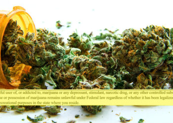 Florida Democrat Sues Biden Admin Over Guns Rights for Medical Marijuana Users