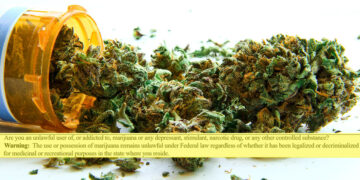 Florida Democrat Sues Biden Admin Over Guns Rights for Medical Marijuana Users