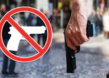 Buffalo New York Gun Free Zones = Kill Zones