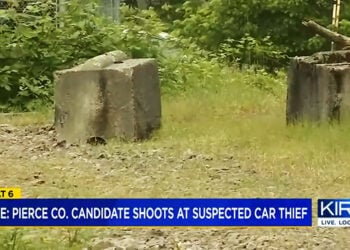 County Council Candidate Shoots Car Thief in Self-Defense as He Tries to Run Him Over