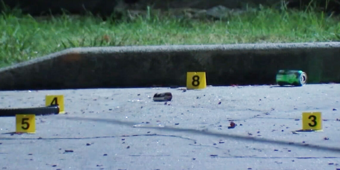 Armed Citizen Shoots 22-Year-Old Man Standing Over His Mother While Shooting Her