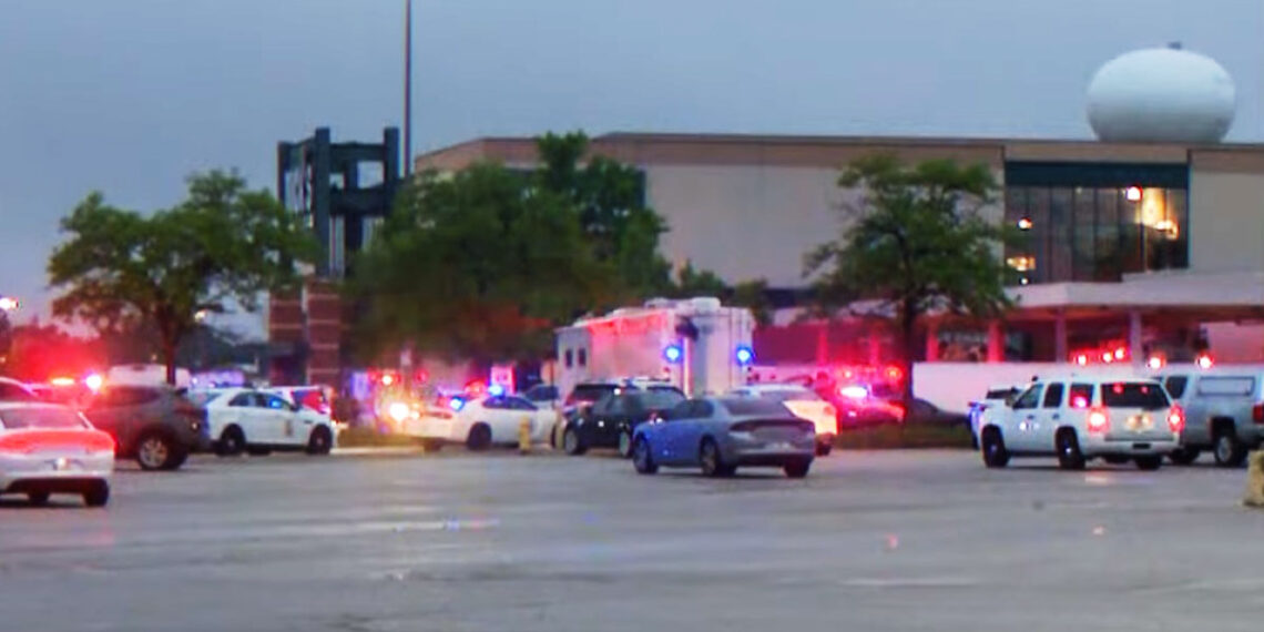 Armed Citizens Shoots, Kills Mass Shooter in Indiana Mall Food Court