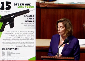 Assault Weapon Ban Passes the House