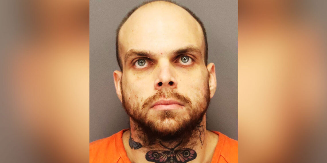 Armed Bystander Stops Man Brutally Beating Pregnant Woman