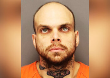 Armed Bystander Stops Man Brutally Beating Pregnant Woman