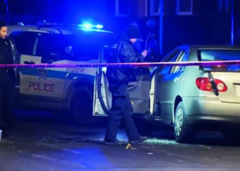 Chicago Woman with CCW Takes On Four Carjackers and Wins