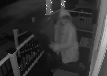 Home Invader Says, “I’m not scared of you,” Then He Gets Shot!