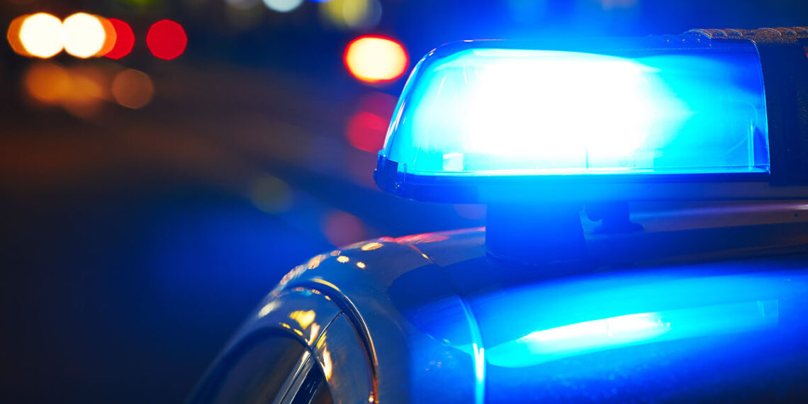 Chicago Concealed Carry Holder Shoots Two in Mall Shooting