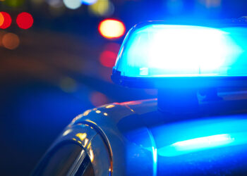 Chicago Concealed Carry Holder Shoots Two in Mall Shooting