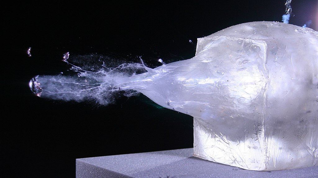 Ballistic Gel