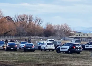 Confrontation at Dog Park Leads to Self-Defense Shooting
