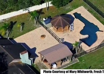 Revolver-Shaped Swimming Pool: Unusual Support for Gun Rights, Safety, and Education
