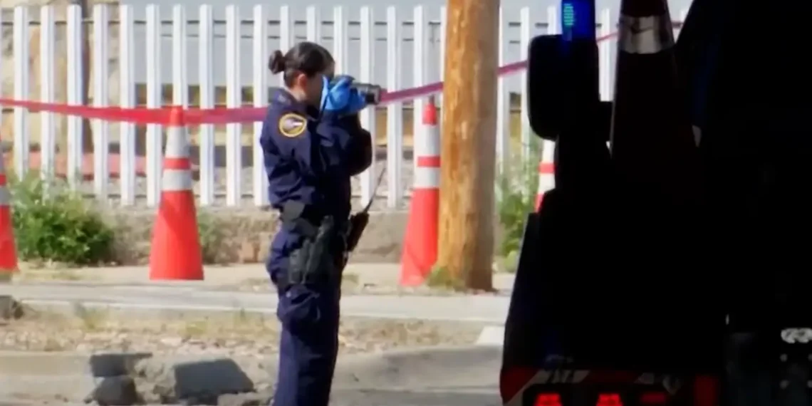 Home Invader Gets Shot After Shooting The Dog