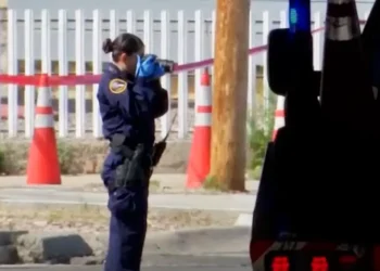 Home Invader Gets Shot After Shooting The Dog