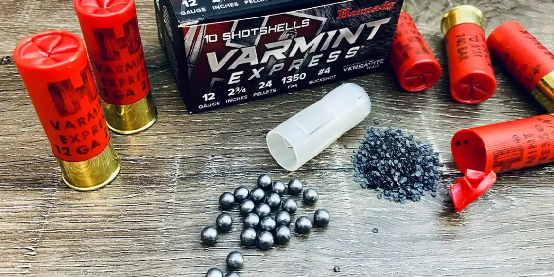 Evaluating Hornady's Varmint Express #4 Buckshot