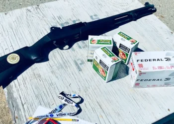 1,000 Rounds Later: The Stoeger P3000