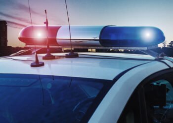 Chicago Carjacking Suspects Foiled by Armed Victim with Concealed Carry Permit