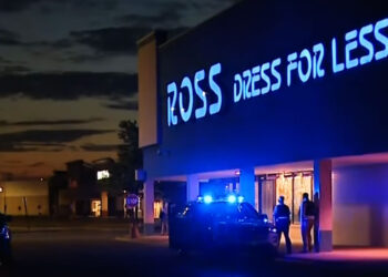 Second Self-Defense Shooting at Chicago Mall This Year