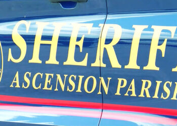 Grass-Eating Intruder Meets His End in Home Defense Incident