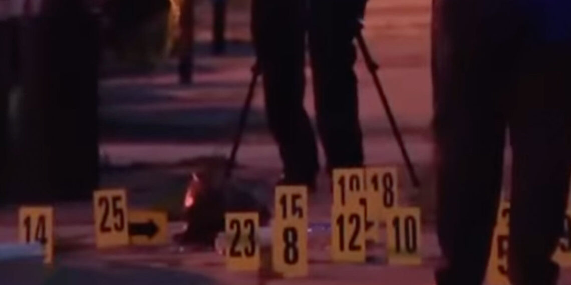 Husband and Wife Ambushed, Fatally Shot Despite Carrying Concealed