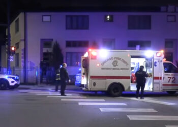 Armed Woman Draws Pistol And Stops Knife Attack In Her Home