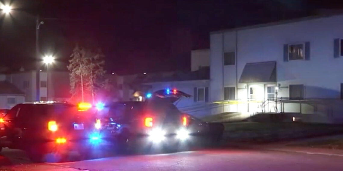 3-Year-Old Shoots 2-Year-Old Brother with Pistol He Found in Mom's Purse
