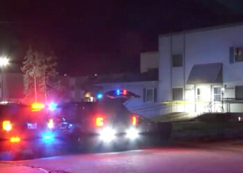 3-Year-Old Shoots 2-Year-Old Brother with Pistol He Found in Mom's Purse