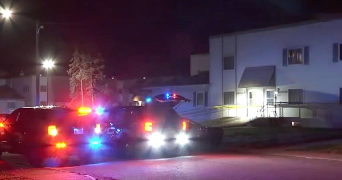 3YearOld Shoots 2YearOld Brother with Pistol He Found in Mom's