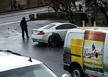 "Victim" Sends Carjacker Fleeing After Fighting Back