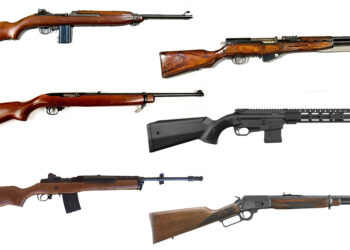 The 6 Best Ban-State Carbines