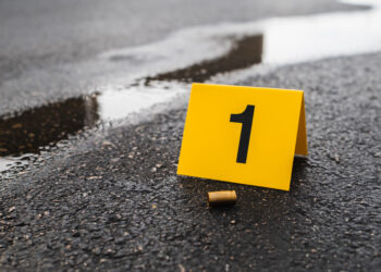 Homeowner Fires in Self-Defense at Erratic Drifter in Indiana