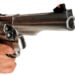 Wife Fatally Shoots Burglar w/ .44 Magnum After He Stabbed Her Husband