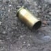 Philadelphia Concealed Carrier Engages in Gunfight with Robbers, Surveillance Video Captures Sounds of the Encounter