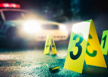 Woman With CCW Permit Fatally Shoots Man During Argument in Chicago