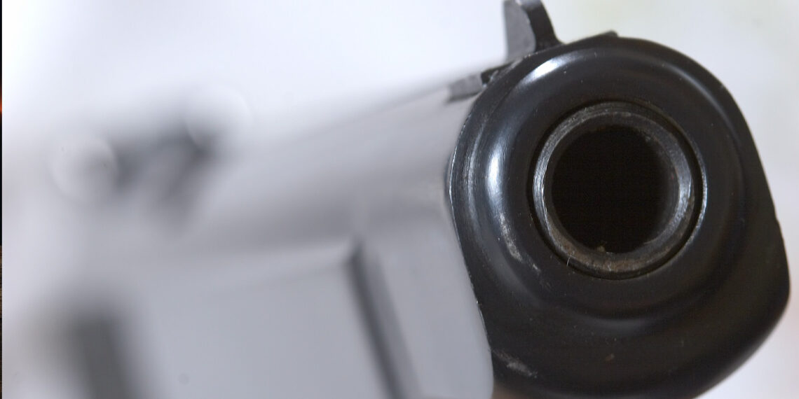 CA Homeowner with CCW Holds Two Burglary Suspects at Gunpoint Until Cops Arrive