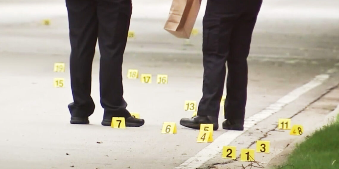 Illinois Father Exchanges Gunfire with Car Thieves as Daughters Sleep Inside