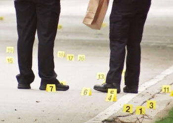 Illinois Father Exchanges Gunfire with Car Thieves as Daughters Sleep Inside