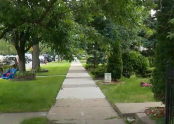 Concealed Carry Holder Fires in Self-Defense During Altercation, Leaving All 3 Attackers in Critical Condition
