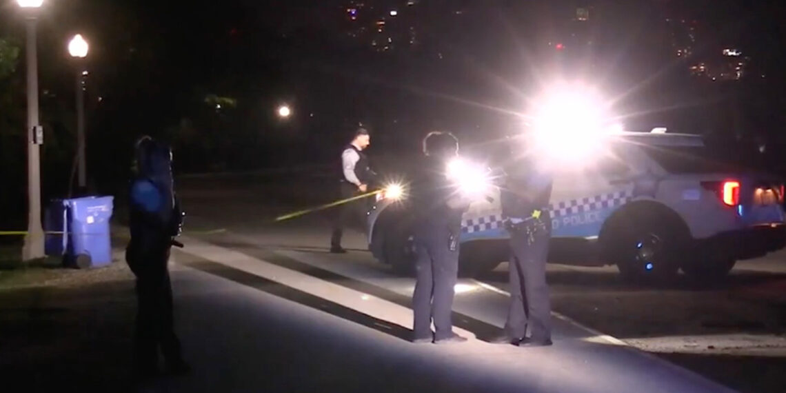 Concealed-Carry Holder Shoots 17-Year-Old Girl After Being Stabbed During Argument in Chicago