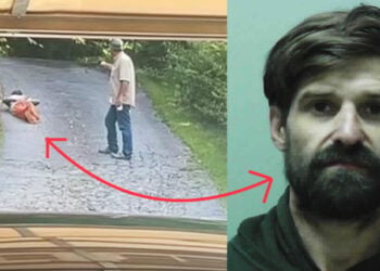 Georgia Man and His Dog Commended for Apprehending Escaped Inmate, Collects $500 Reward