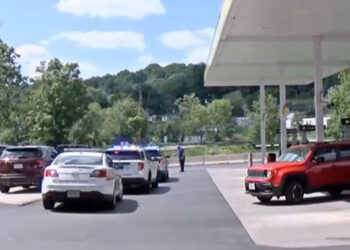 Good Samaritan Stops Carjacking Attempt on Woman and Child