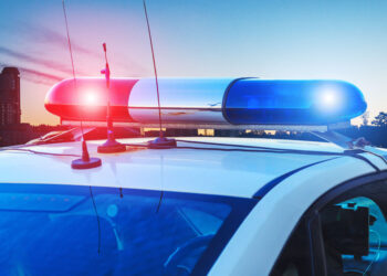 Neighbor Confronts Four Armed Intruders in Georgia Home Invasion, Leading to Shootout